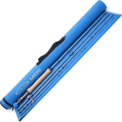 CANNE MOUCHE VISION MERI