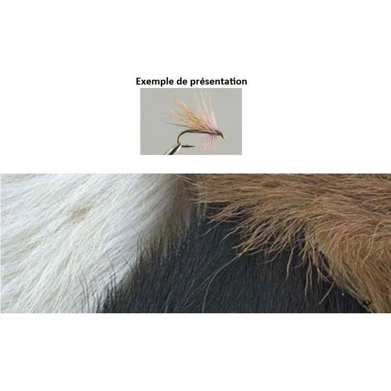 CHEVREAU TOF 1 CHEVREAU TOF