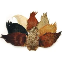 COU DE COQ INDIEN TOF TOP GRADE