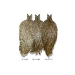 COU DE COQ WHITING FARMS