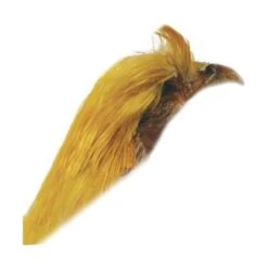 CRETE DE FAISAN DORE TOF