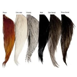 DEMI COU JMC WHITING FARMS HEBERT