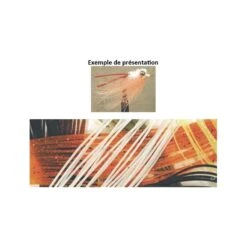 ELASTIQUE TOF SILI LEGS BICOLORE