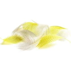 FLANC DE CANARD DEVAUX DVX