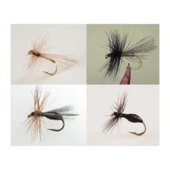 KIT DE 4 MOUCHES DEVAUX FOURMIS