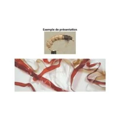 LANIERE SYNTHETIQUE TOF BODY STRETCH LATEX - 50CM