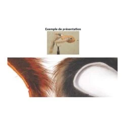 LANIERES D ECUREUIL TOF