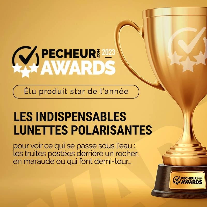 LUNETTES POLARISANTES BIG FISH 1983 EASY FISH TROUT GOLD IRIDIUM 2 LUNETTES POLARISANTES BIG FISH 1983 EASY FISH TROUT GOLD IRIDIUM – Image 2