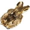 MASQUE DE LIEVRE DEVAUX DVX AVEC OREILLES