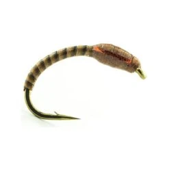 MOUCHE DEVAUX CHIRO LCH31