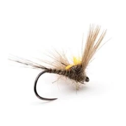 MOUCHE DEVAUX EMERGENTE JBE05