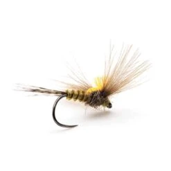 MOUCHE DEVAUX EMERGENTE JBE07