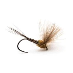 MOUCHE DEVAUX EMERGENTE JBE09