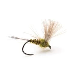 MOUCHE DEVAUX EMERGENTE JBE11