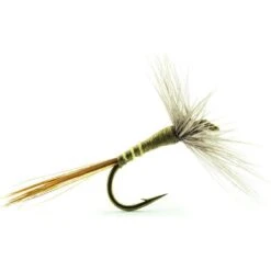 MOUCHE DEVAUX EPHEMERE 911