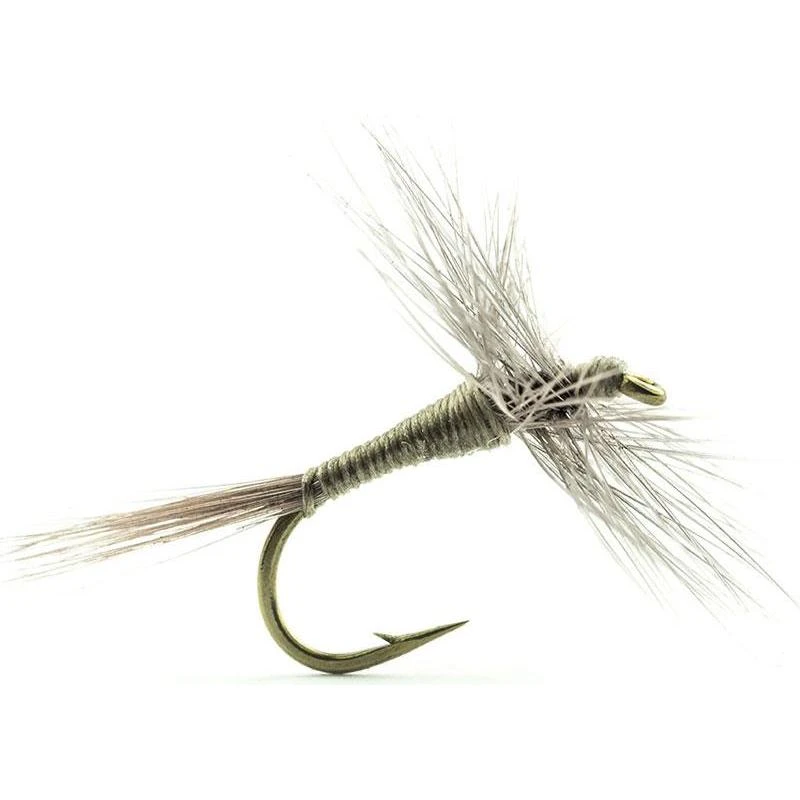 MOUCHE DEVAUX EPHEMERE A1 1 MOUCHE DEVAUX EPHEMERE A1