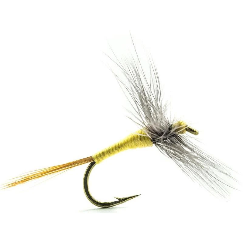 MOUCHE DEVAUX EPHEMERE A4 1 MOUCHE DEVAUX EPHEMERE A4