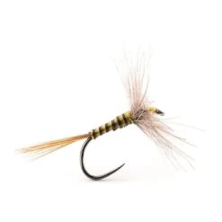 MOUCHE DEVAUX EPHEMERE A4QC