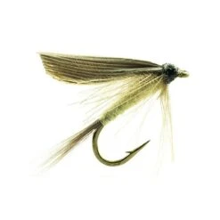 MOUCHE DEVAUX EPHEMERE ORNANS 05