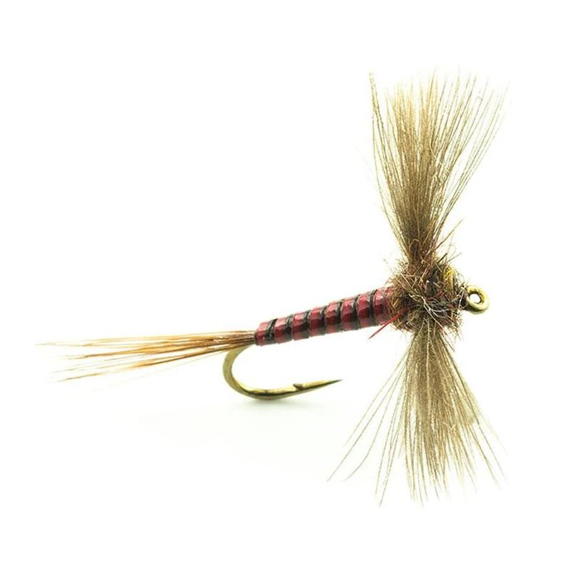 MOUCHE DEVAUX EPHEMERE SPENT JBS01 1 MOUCHE DEVAUX EPHEMERE SPENT JBS01