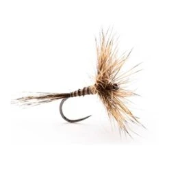 MOUCHE DEVAUX SECHE AL01