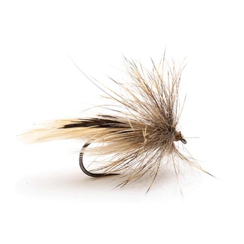 MOUCHE DEVAUX SEDGE TRICOPTHERES JBP17 1 MOUCHE DEVAUX SEDGE TRICOPTHERES JBP17