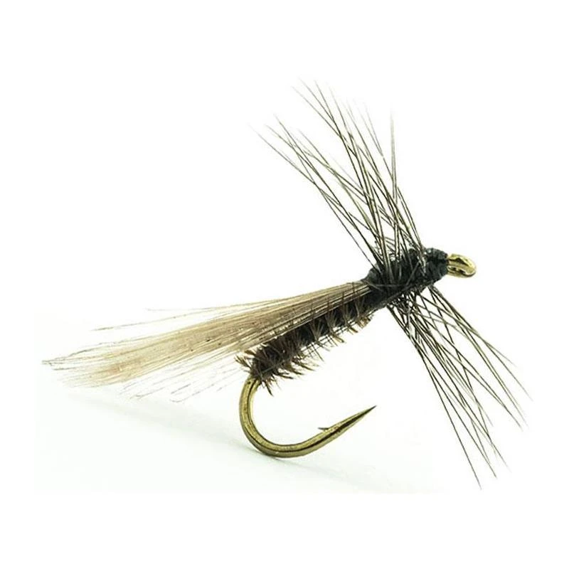 MOUCHE DEVAUX TERRESTRE 428 1 MOUCHE DEVAUX TERRESTRE 428