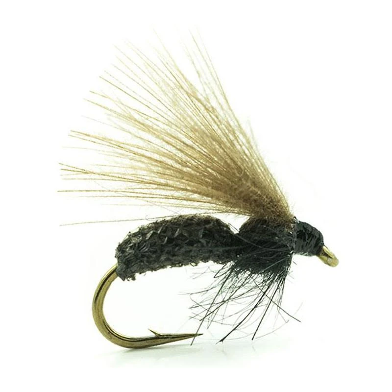 MOUCHE DEVAUX TERRESTRE JBF03 1 MOUCHE DEVAUX TERRESTRE JBF03