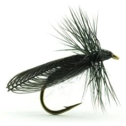 MOUCHE DEVAUX TERRESTRE JBSIAL01