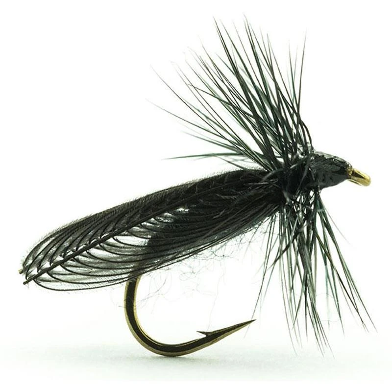 MOUCHE DEVAUX TERRESTRE JBSIAL01 1 MOUCHE DEVAUX TERRESTRE JBSIAL01