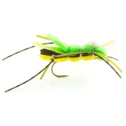 MOUCHE DEVAUX TERRESTRE SAUT01