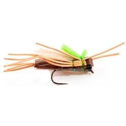 MOUCHE DEVAUX TERRESTRE SAUT03