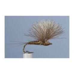 MOUCHE JMC EMERGENTE 21