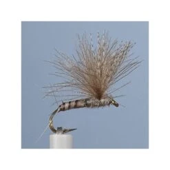 MOUCHE JMC EMERGENTE 22