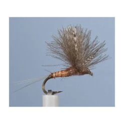 MOUCHE JMC EMERGENTE 24