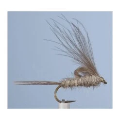 MOUCHE JMC EMERGENTE 3