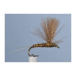 MOUCHE JMC EMERGENTE 50