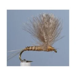 MOUCHE JMC EMERGENTE JMC12