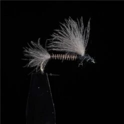 MOUCHE JMC EMERGENTES BM 6