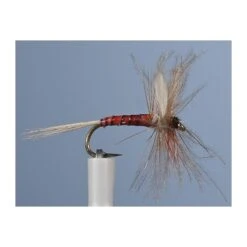 MOUCHE JMC EPHEMERE ELI 6