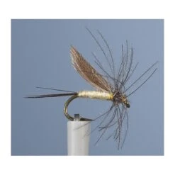 MOUCHE JMC EPHEMERE ORNAN CDC 1