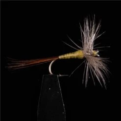 MOUCHE JMC EPHEMERES JMC 600