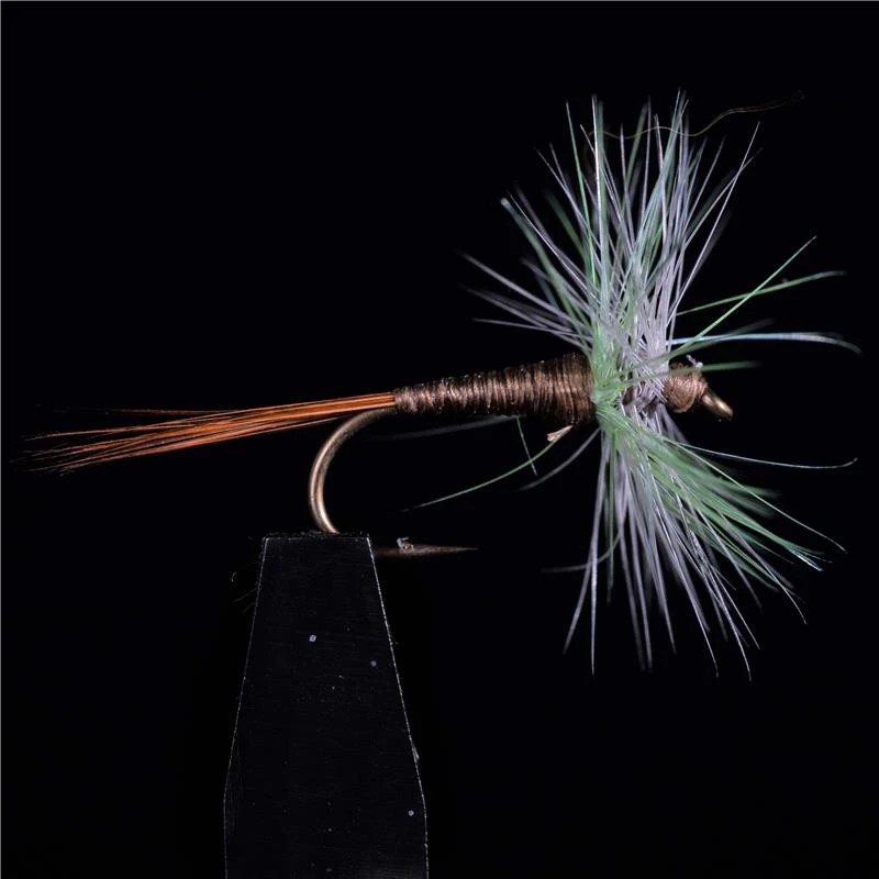 MOUCHE JMC EPHEMERES JMC 602 1 MOUCHE JMC EPHEMERES JMC 602