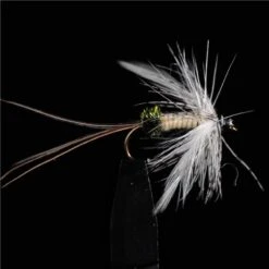 MOUCHE JMC EPHEMERES P 13