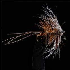 MOUCHE JMC EPHEMERES UB H12