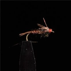 MOUCHE JMC NYMPHES JCC 109