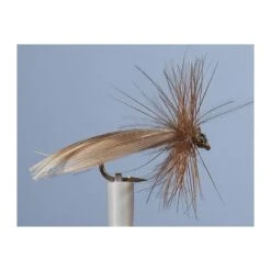 MOUCHE JMC SEDGE PIRAT