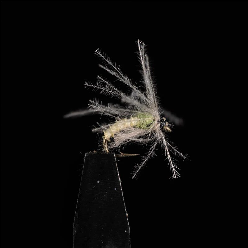 MOUCHE JMC SEDGES CUL VERT 1 MOUCHE JMC SEDGES CUL VERT