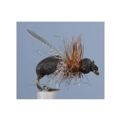 MOUCHE JMC TERRESTRE 17