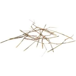 PATTES D INSECTES NOUEES DEVAUX